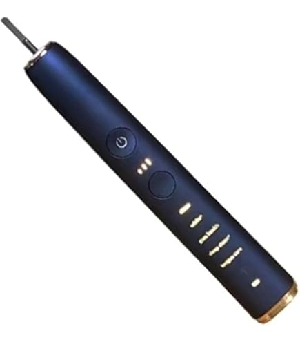 Amazon.com: SteFik HX993 Series Electric Toothbrush Host HX993P